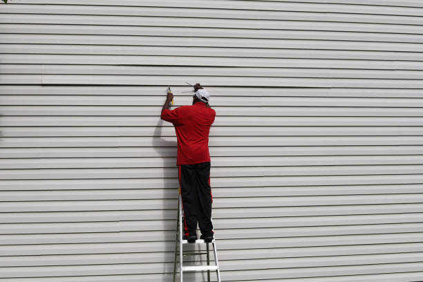 Best Insulated Siding Installation  in Awendaw, SC